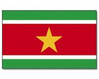 Surinam Flagge 90*150 cm