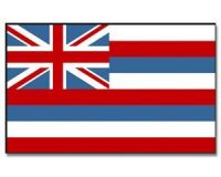 Hawaii  Flagge 90*150 cm