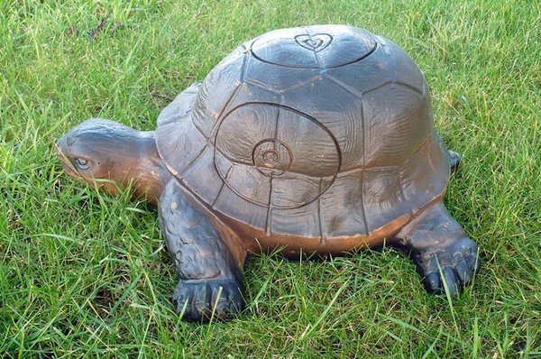 Wildlife 3D Schildkröte
